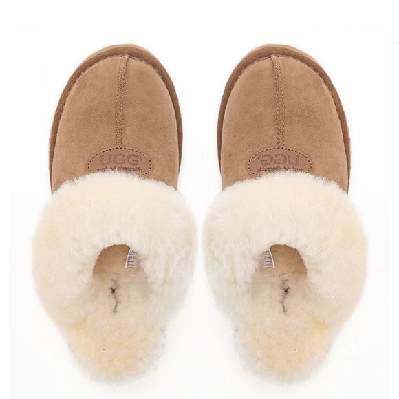 UGG- Premium Platform Scuff- Chestnut - Picture 3 of 7